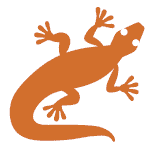 Andrea Zanini Andrea Zanini